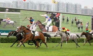 Chinh Phục Trường Đua QQ88 Khám Phá Cá Cược Đua Ngựa Đỉnh Cao