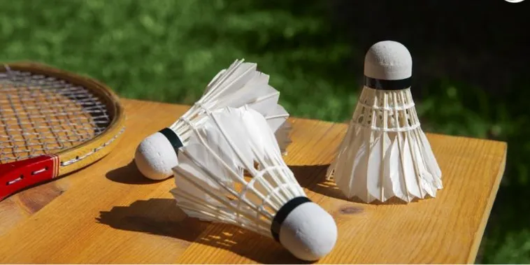 Thống Trị Kèo Cược Cầu Lông QQ88 Hướng Dẫn Từ A Đến Z 2 Thống Trị Kèo Cược Cầu Lông QQ88 Hướng Dẫn Từ A Đến Z