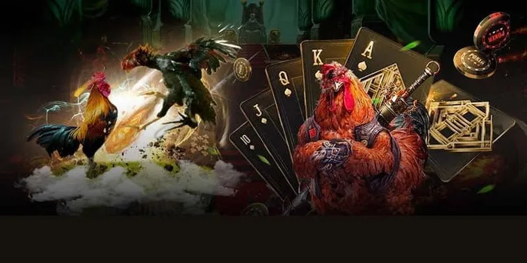 Làm Chủ Đá Gà GA28 Tại QQ88 Với Chiến Thuật Bất Bại 1 Làm Chủ Đá Gà GA28 Tại QQ88 Với Chiến Thuật Bất Bại