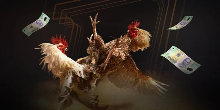 Đá Gà QQ88 Đỉnh Cao Trải Nghiệm Cá Cược Bùng Nổ Uy Tín